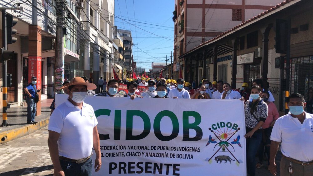 Indígenas de tierras bajas se alejan del MAS y anuncian candidatura presidencial propia
